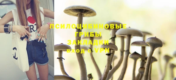 тгк Дмитровск