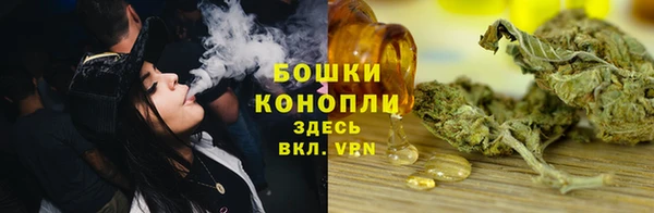 винт Дмитров