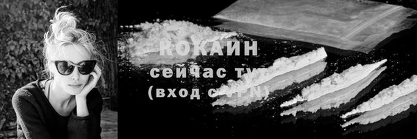 тгк Дмитровск