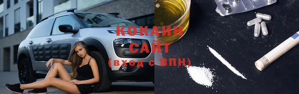 тгк Дмитровск