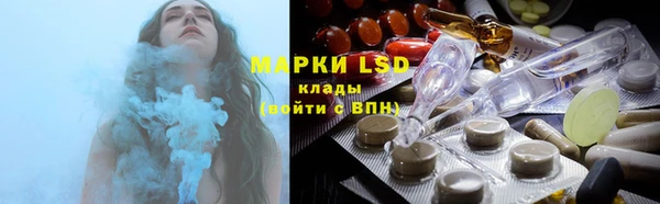 тгк Дмитровск