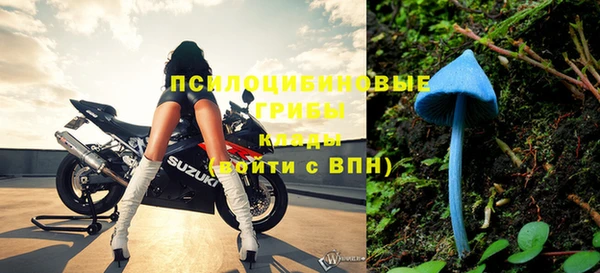 не бодяженный Дмитриев