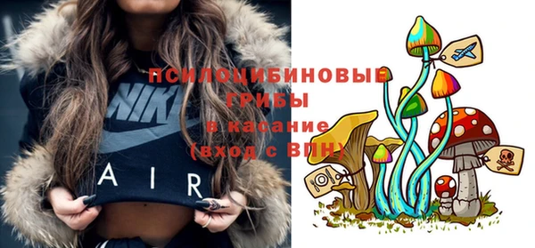 винт Дмитров