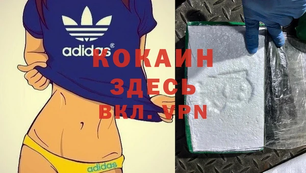 не бодяженный Дмитриев