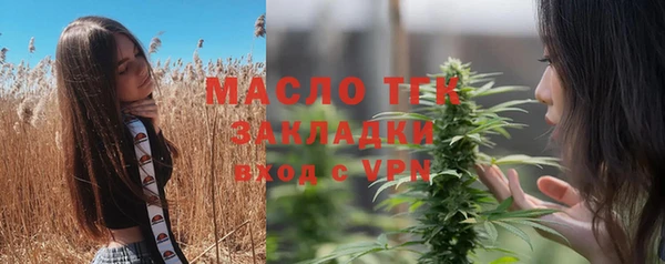 винт Дмитров